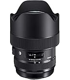 Amazon.com : Sigma 14-24mm F2.8 DG HSM, Black (212955) for